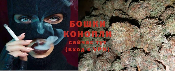 гашик Пересвет