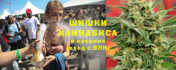 прущие грибы Армянск