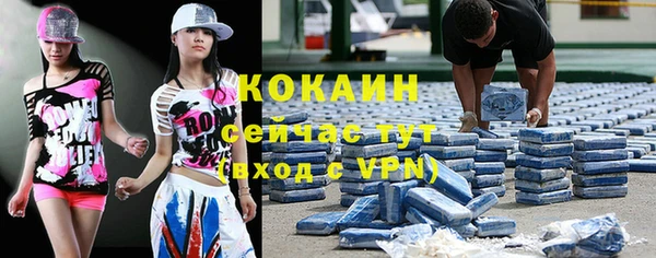 прущие грибы Армянск