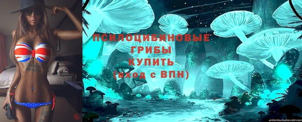 прущие грибы Армянск