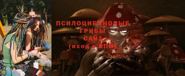 a pvp Аркадак