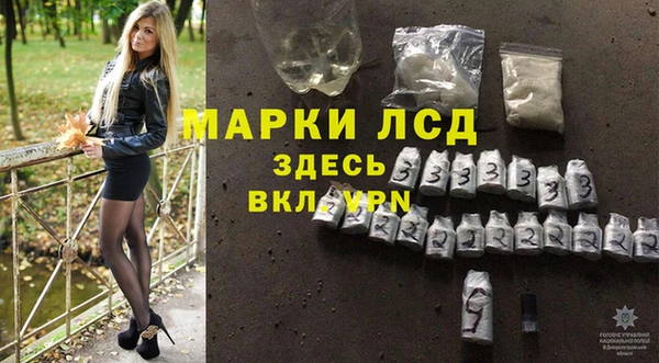 спайс Арсеньев