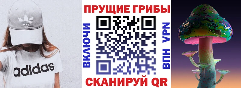 что такое наркотик  Новодвинск  Псилоцибиновые грибы Cubensis 