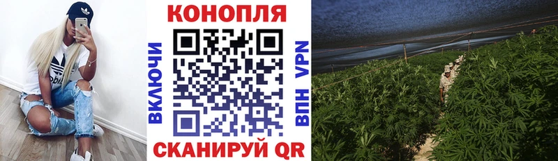 Каннабис Ganja  хочу   Новодвинск 